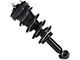Front Strut and Spring Assemblies (14-18 4WD Silverado 1500)