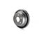 Vented 6-Lug Brake Rotor; Rear (99-06 Silverado 1500 w/ Single Piston Rear Calipers)