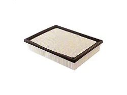 Air Filter (07-19 6.0L Silverado 3500 HD)