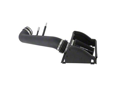 Spectre Performance Cold Air Intake with Black Filter; Black (15-20 5.0L F-150)