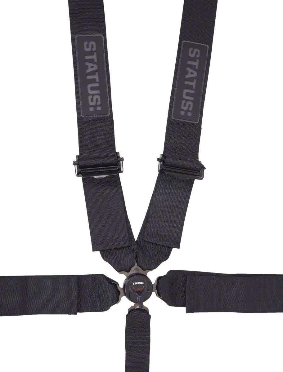 Status: 5-Point Camlock Harness; Black (Universal; Some Adaptation May Be Required)