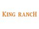 Tailgate Insert Letters; Gloss Orange (17-19 F-250 Super Duty King Ranch)