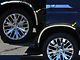 Wheel Well Accent Trim; Stainless Steel (21-24 Tahoe)