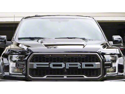 Front Grille Letter Overlays; Brushed Silver (17-20 F-150 Raptor)