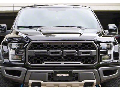 Front Grille Letter Overlays; Domed Carbon Fiber (17-20 F-150 Raptor)