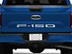 Tailgate Insert Letters; Brushed Silver (18-20 F-150 w/o Tailgate Applique)