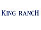 Tailgate Insert Letters; Lightning Blue (18-20 F-150 King Ranch)