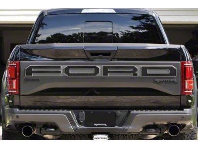 Tailgate Letter Overlays; Domed Carbon Fiber (17-18 F-150 Raptor w/ Tailgate Applique)