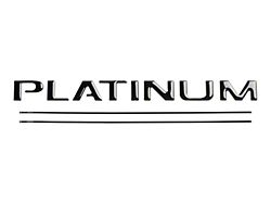 Tailgate Insert Letters; Gloss Black (17-19 F-350 Super Duty Platinum)