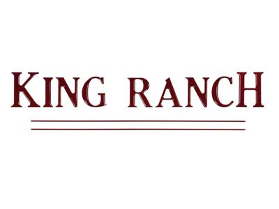 Tailgate Insert Letters; Ruby Red (17-19 F-250 Super Duty King Ranch)
