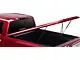 UnderCover SE Smooth Hinged Tonneau Cover; Unpainted (19-24 RAM 1500 w/o RAM Box & Multifunction Tailgate)