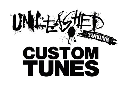 Unleashed Tuning Custom Tunes; Tuner Sold Separately (04-08 5.4L F-150)