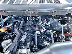 UPR Products Plug N Play Oil Catch Can; Passenger Side; Black (21-25 3.5L EcoBoost/PowerBoost F-150)
