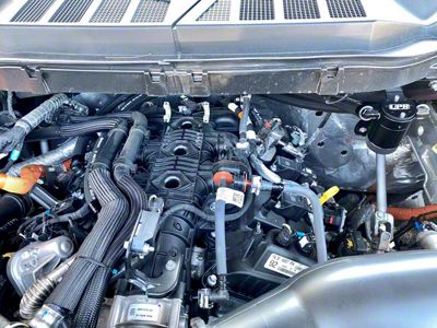 UPR Products Plug N Play Oil Catch Can; Passenger Side; Black (21-25 3.5L EcoBoost/PowerBoost F-150)