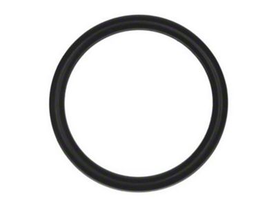 USA Standard Gear Transfer Case Oil Tube O-Ring (06-09 RAM 1500)