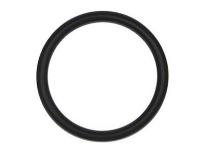 USA Standard Gear Transfer Case Oil Tube O-Ring (06-09 RAM 1500)