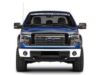 Smoke Hood Bug Shield / Deflector For Ford F-150 2009-2014 - Truck Protection
