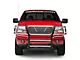 Westin HDX Brush Guard; Stainless Steel (04-08 F-150, Excluding Harley Davidson)