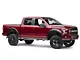 Westin Pro Traxx 5-Inch Oval Side Step Bars; Stainless Steel (15-24 F-150 SuperCab, SuperCrew)