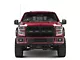 RedRock Modern Billet Wire Mesh Upper Replacement Grille with Rivets and LED Lighting; Black (15-17 F-150, Excluding Raptor)