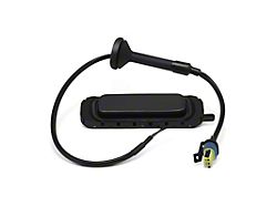 Liftgate Latch Release Switch (07-14 Yukon)