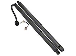 Tailgate Lift Support Struts (15-20 Yukon w/ Power Liftgate)