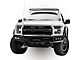 ZRoadz Two 6-Inch LED Light Bars with Mounting Brackets for OEM Grille (17-20 F-150 Raptor)