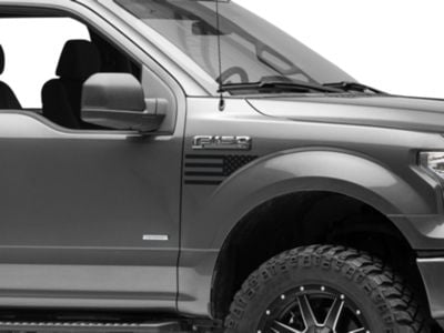 SEC10 Fender Flag; Gloss Black (15-20 F-150)