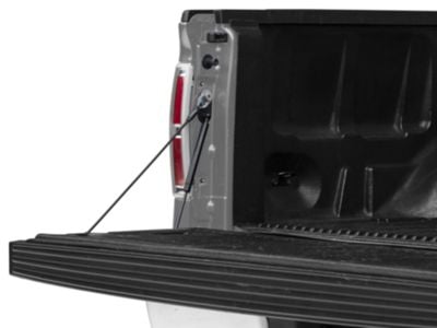 Barricade Tailgate Assist (04-14 F-150)