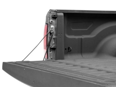 Tailgate Assist (09-18 RAM 1500)