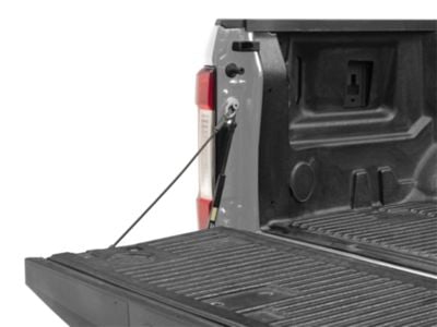 Tailgate Assist (17-24 F-250 Super Duty)
