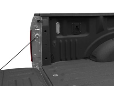 OEM Style Bed Lighting Kit (15-20 F-150)