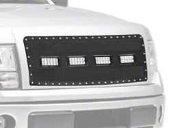 Grilles<br />('09-'14 F-150)