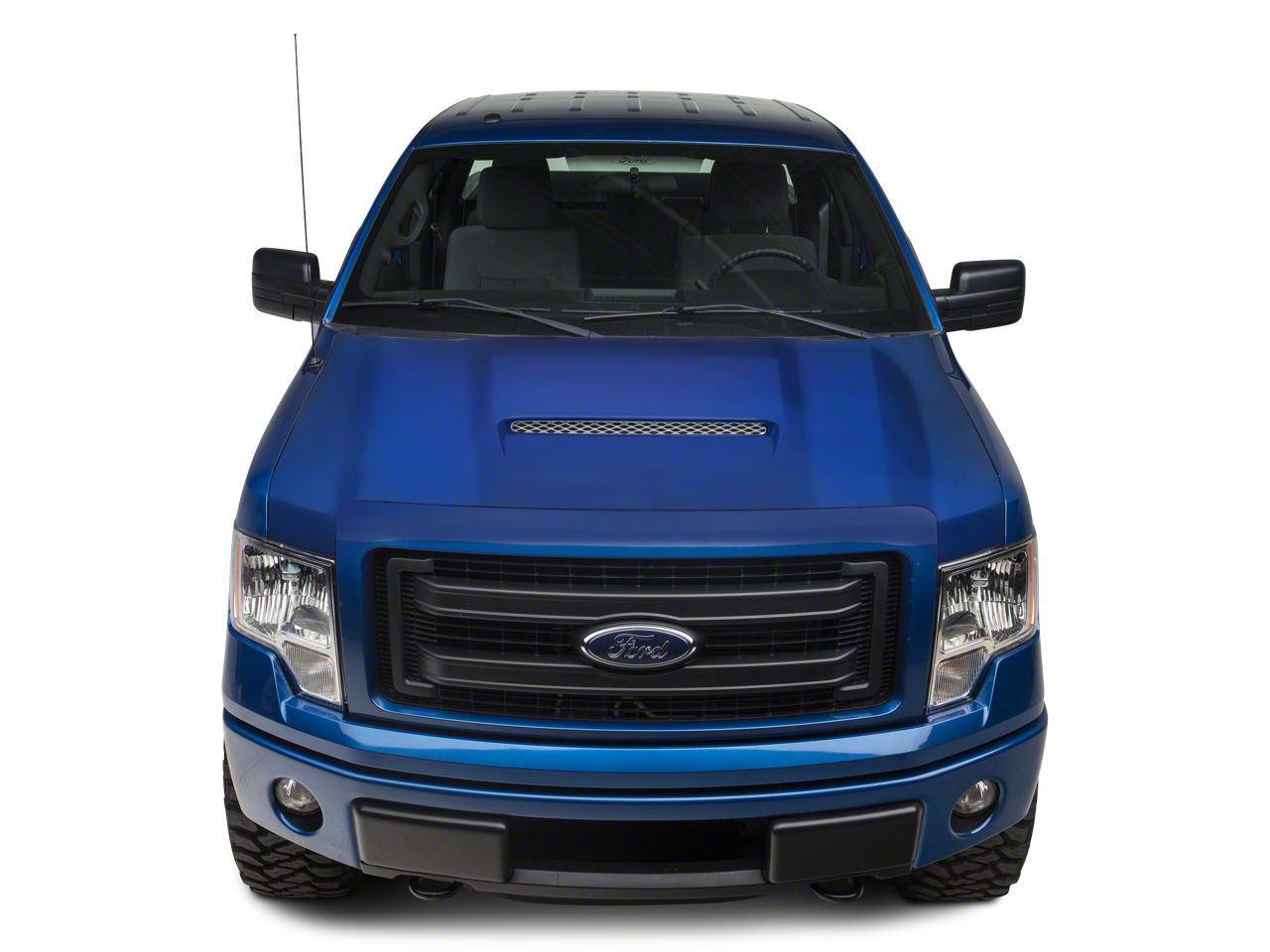 F150 Hoods & Hood Struts 2009-2014