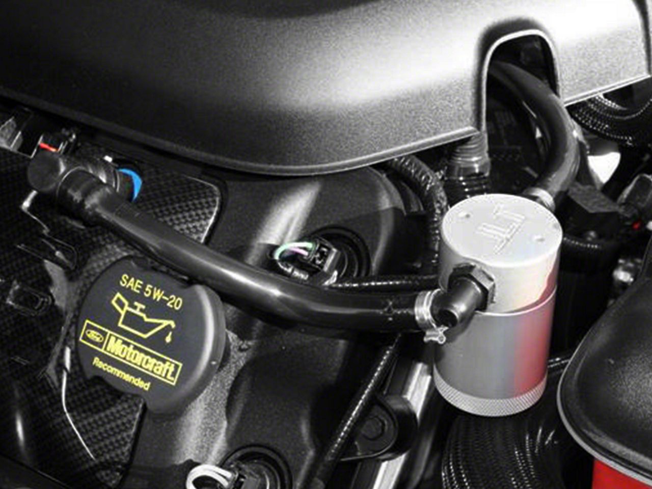 F-150 Oil Catch Cans
