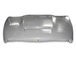 Hoods & Hood Accessories<br />('02-'08 Ram 1500)